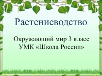 Презентация по окружающему миру на тему Растениеводство (3 класс)