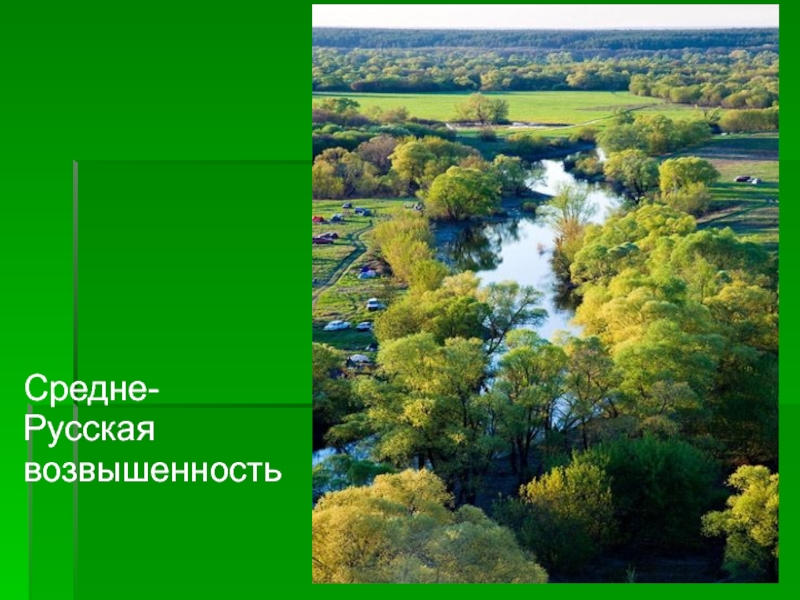 Родной средний. Среднее русский возвышенность. Ср русская возвышенность. Средняя русская возвышенность картинка. Низменность Мещера на русской равнине.