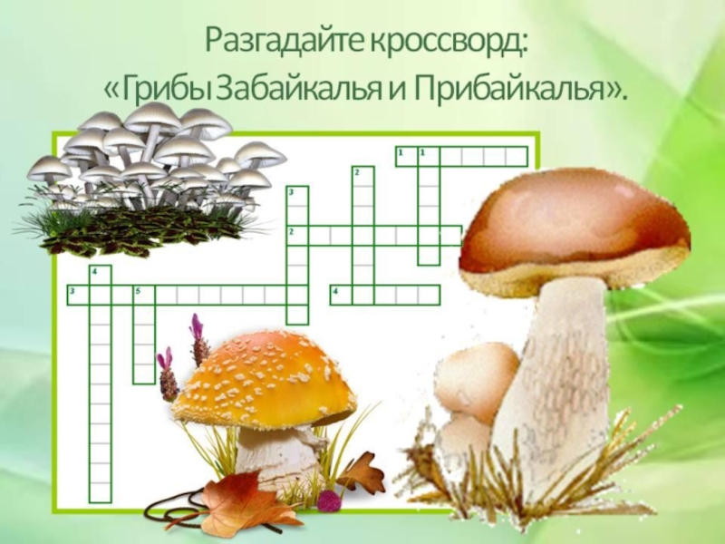 Кроссворд грибы. Кроссворд по биологии на тему Шляпочные грибы. Кроссворд Шляпочные грибы. Кроссворд на тему Шляпочные грибы. Размножение шляпочных грибов 5 класс.