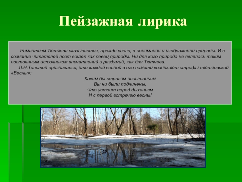 Какой художественный прием является главным в изображении природы в творчестве ф и тютчева