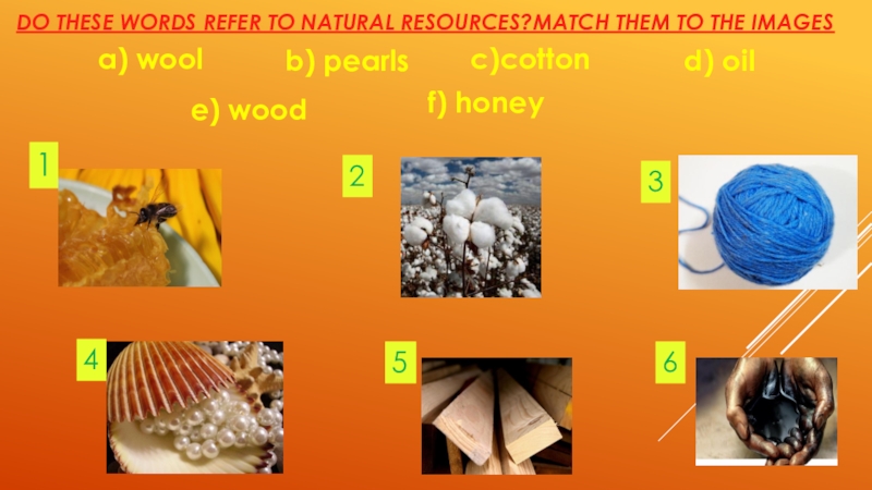 123456DO THESE WORDS REFER TO NATURAL RESOURCES?MATCH THEM TO THE IMAGESa) woolb) pearlsc)cottond) oile) woodf) honey