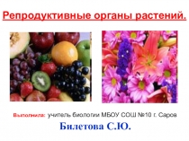 Презентация по биологии на тему:Репродуктивные органы растений