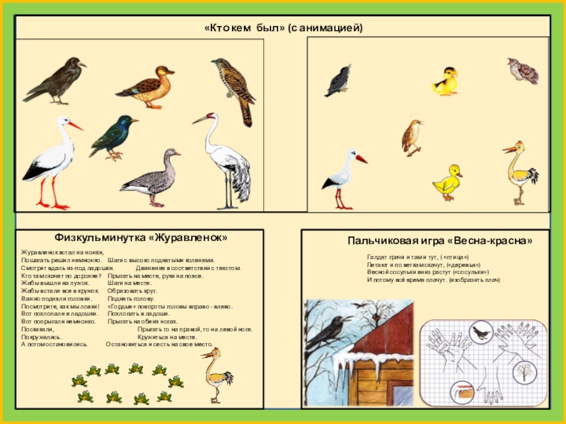Проект перелетные птицы весной в средней группе