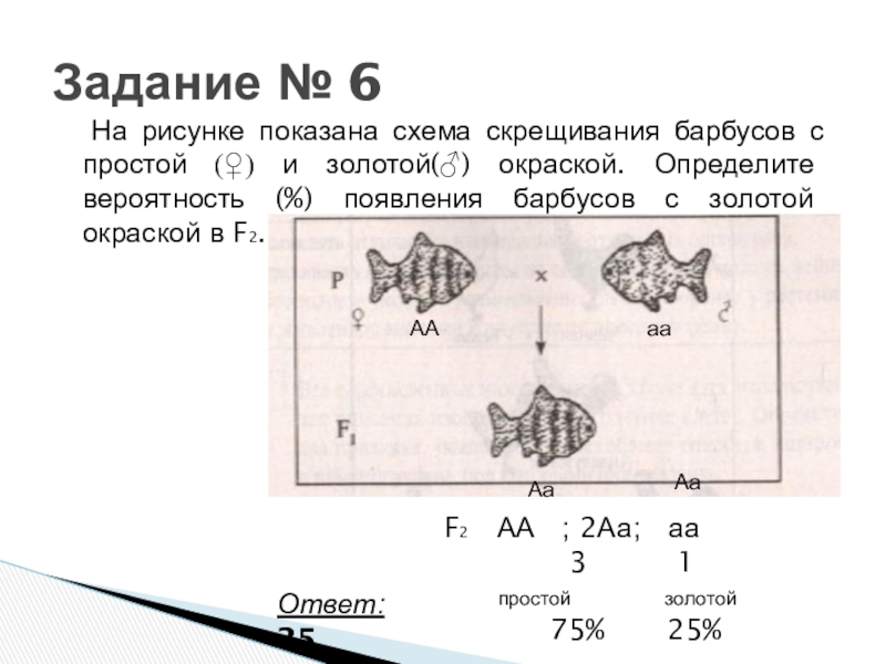 Практическая работа составление простейших схем скрещивания 10 класс