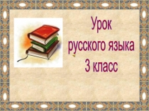 Презентация по русскому языку на тему  Существительное в речи