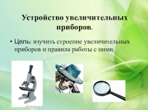 Презентация по биологии Увеличительные приборы