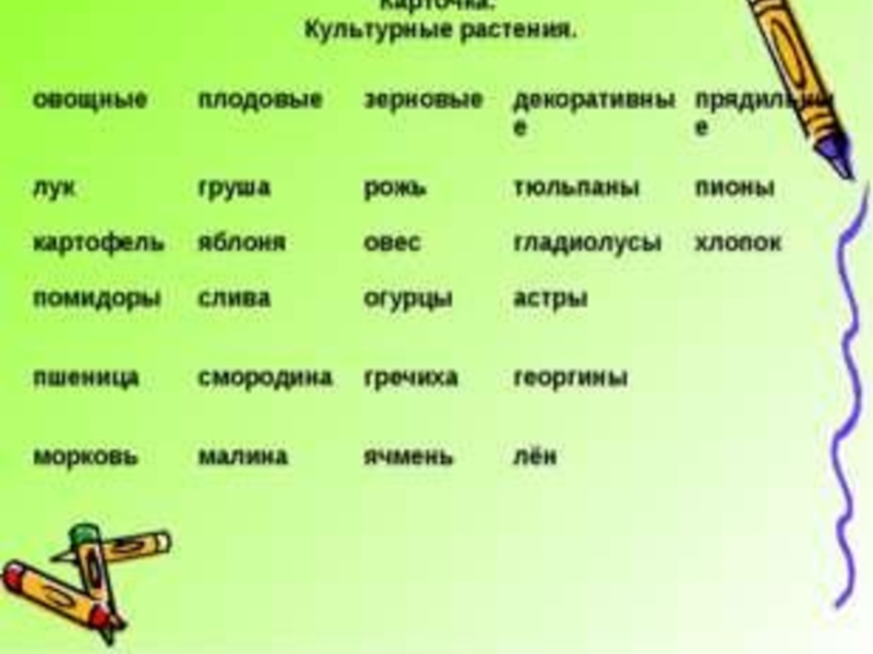 Примеры сортов культурных растений 2 класс. Культурные растения примеры. Овощные культурные растения. Культурные растения 2 класс. Культурные растения примеры 2 класс.