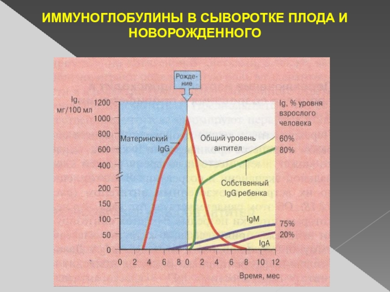 Эволюция иммунитета презентация