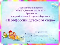 Педагогический проект Профессии детского сада