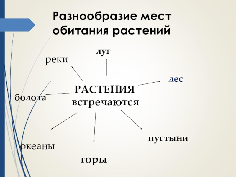 Многообразие и значение растений презентация 5 класс. Места обитания растений. Разнообразие мест обитания растений. Разнообразие и значение растений. Схема мест обитания растений 3 класс.