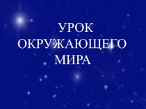 Презентация по окружающему миру на тему Первое знакомство со звёздами(2 класс)