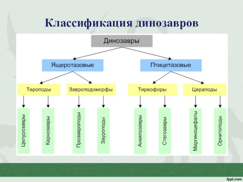 Отряды динозавров схема