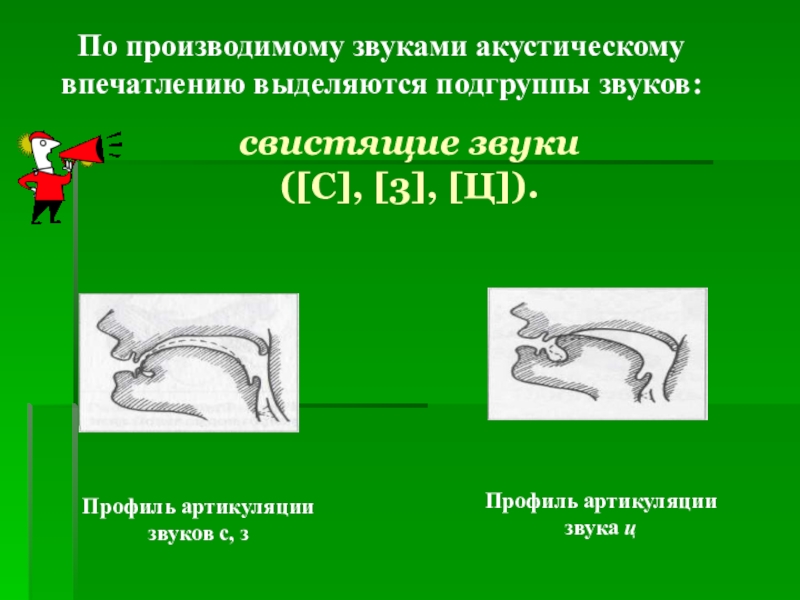 Свистящие звуки. Профили свистящих звуков. Артикуляция для свистящих. Постановка свистящих звуков.