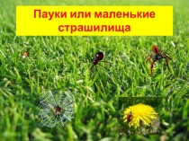 Пауки или маленькие страшилища
