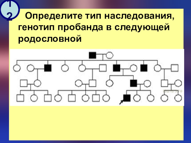 Определите вид наследования. Родословная генетика пробанд. Родословные задачи по генетике пробанд. Определите Тип наследования. Типы наследования в родословной.