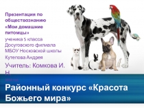 Презентация по обществознанию Мои домашние питомцы