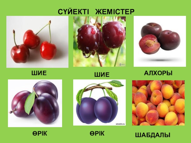 Көкөністерді өңдеу презентация