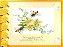 Презентация по биологии Пчелы