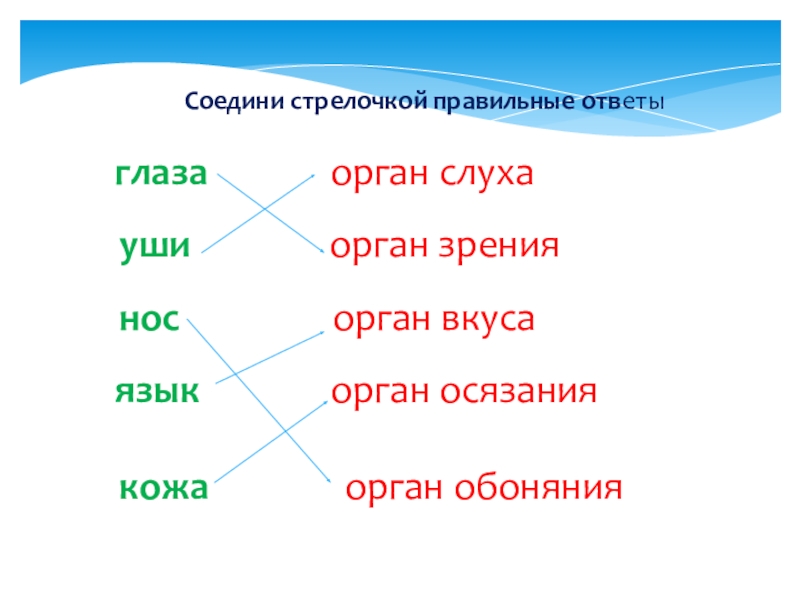 Ответить объединить. Органы чувств человека Соедини. Органы чувств Соедини стрелками. Органы человека Соедини стрелкой. Карточка органы чувств Соедини стрелками.