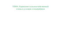 Презентация Кормление птицы в условиях птицефабрики