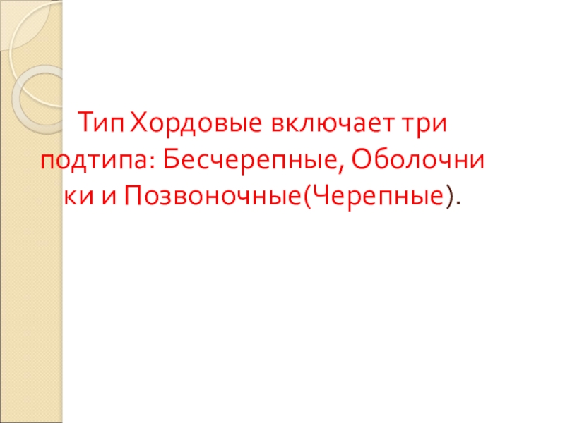 Тип Хордовые включает три подтипа: Бесчерепные, Оболочники и Позвоночные(Черепные).