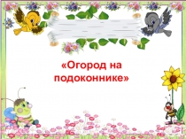 Презентация проекта Огород на подоконнике