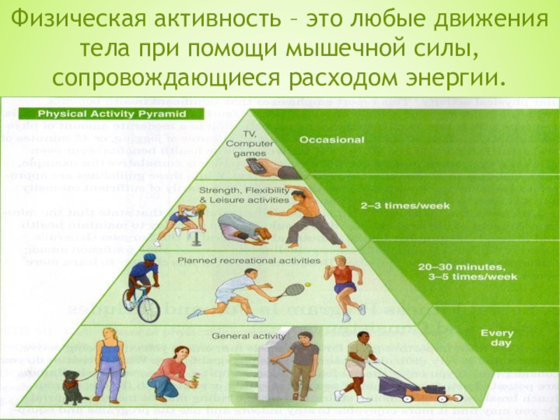 12 любых движения. Физическая активность это термин. Пирамида физической активности. Физическая деятельность. Виды физической активности.