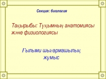 Презентация открытого внеклассного мероприятия
