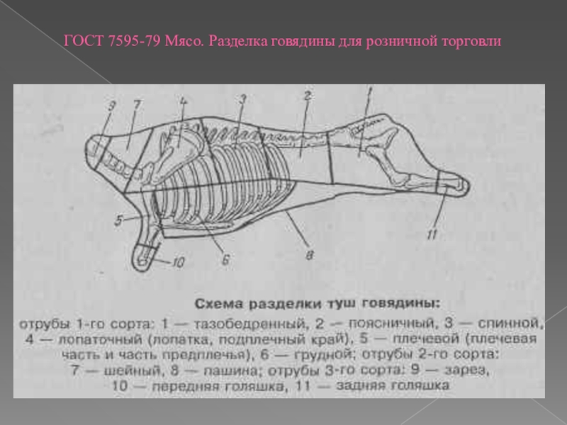 Отрубы говядины схема