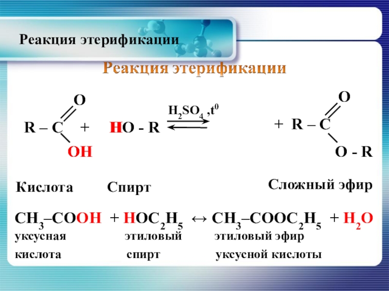 Ацетальдегид метанол реакция. Этерификация этилового эфира. Взаимодействие этанола с уксусной кислотой уравнение реакции. Этерификация этилового спирта.
