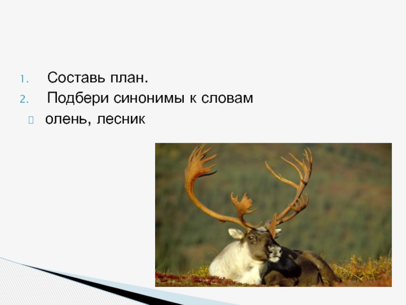 Олень части слова. Синонимы к слову олень. Предложение со словом олень. Предложение со словом олень 2 класс. Составить предложение со словом олень.