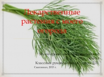 Презентация лекарственные растения с моего огорода