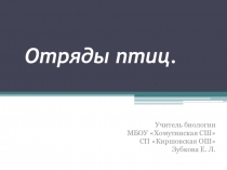 Презентация по биологии 7 класс Отряды птиц