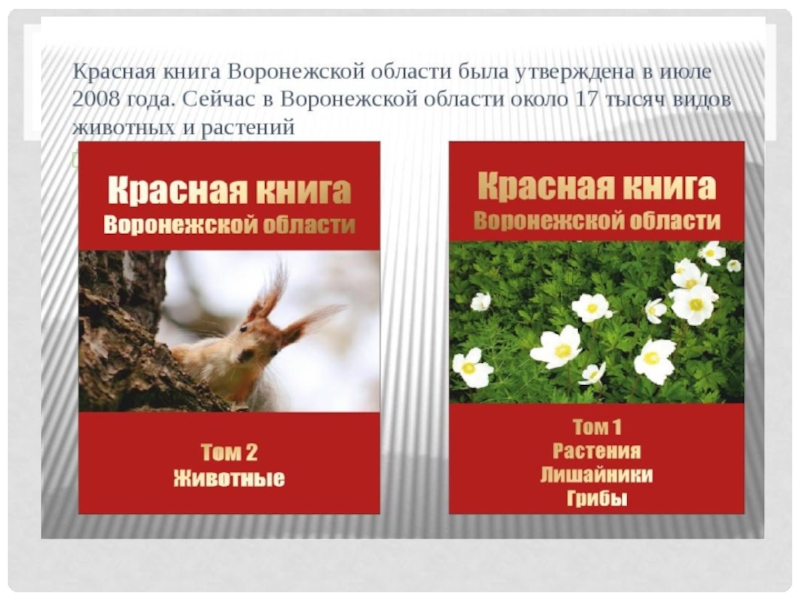 Фото растения красной книги воронежской области фото и описание