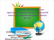 Презентация Организация предметно-пространственной среды в начальной школе в условиях внедрения новых ФГОС