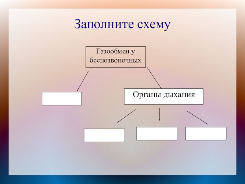 Органы дыхания и газообмен 7 класс презентация