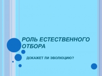 Презентация по биологии на тему: Роль естественного отбора