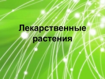 Презентация по ознакомлению с окружающим миром природы на тему Лечебные травы (подготовительная группа)