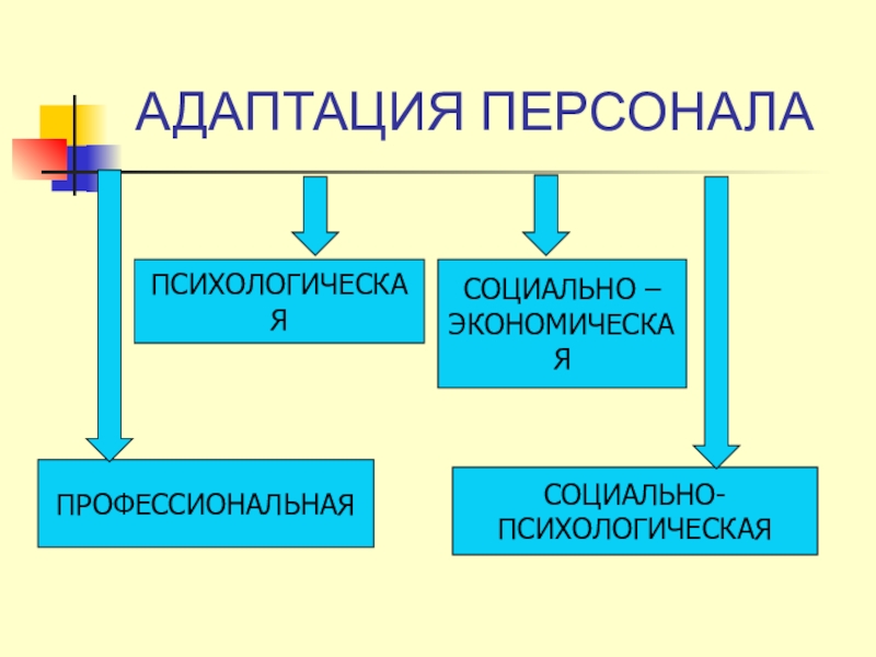 Трудовая адаптация персонала презентация