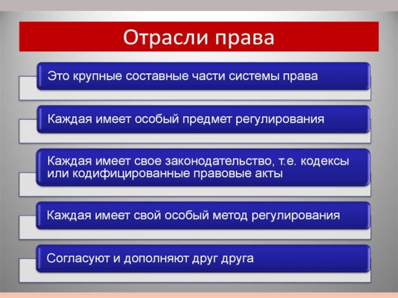 9 класс презентация роль права в жизни человека общества и государства