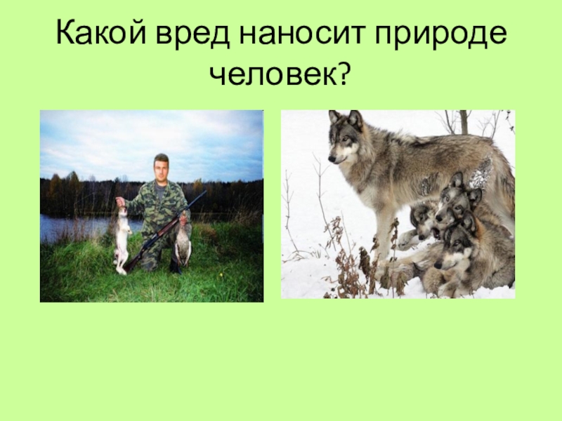 Какой вред человеку наносит. Какой вред наносит человек природе. Картинки какой вред наносит человек природе. Какой вред природе приносим. Как человек наносит вред природе.