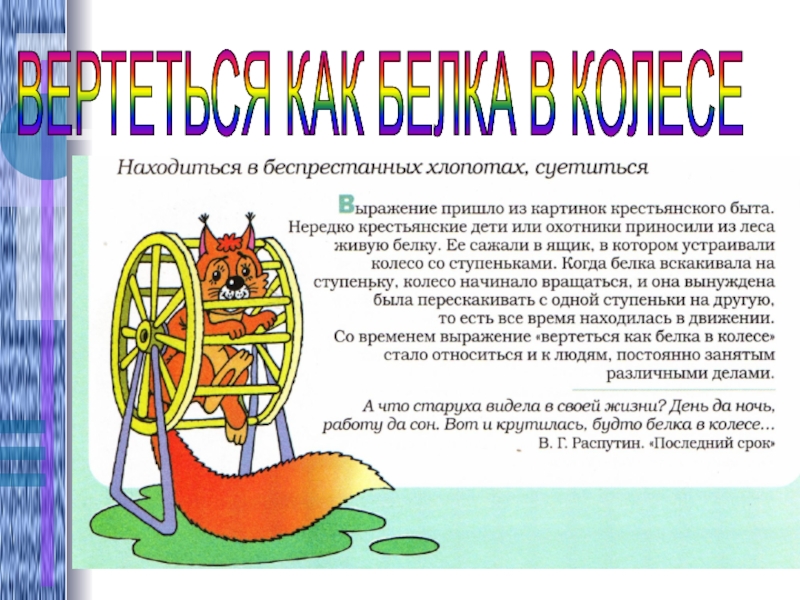 Фразеологизм как белка в колесе. Как белка в колесе фразеологизм. Вертеться как белка в колесе. Фразеологизм крутиться как белка в колесе. Вертеться как белка в колесе значение фразеологизма.