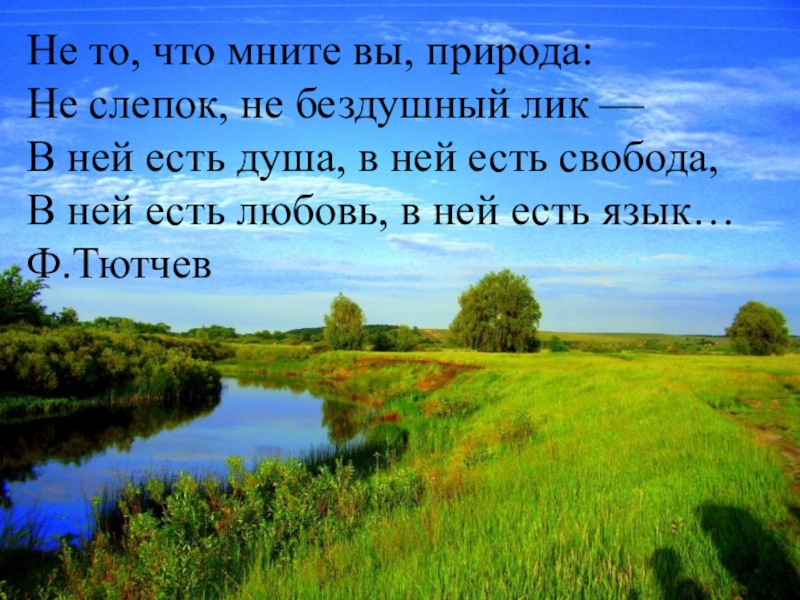 Анализ стихотворения тютчева не то что мните вы природа 10 класс по плану