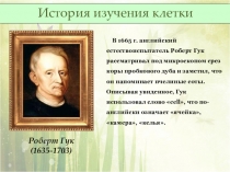 Презентация по биологии на тему Органоиды клетки (5 класс)