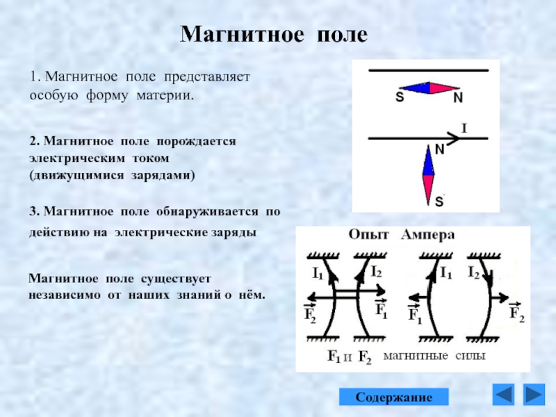 Презентация магнитное поле земли 8 класс физика перышкин