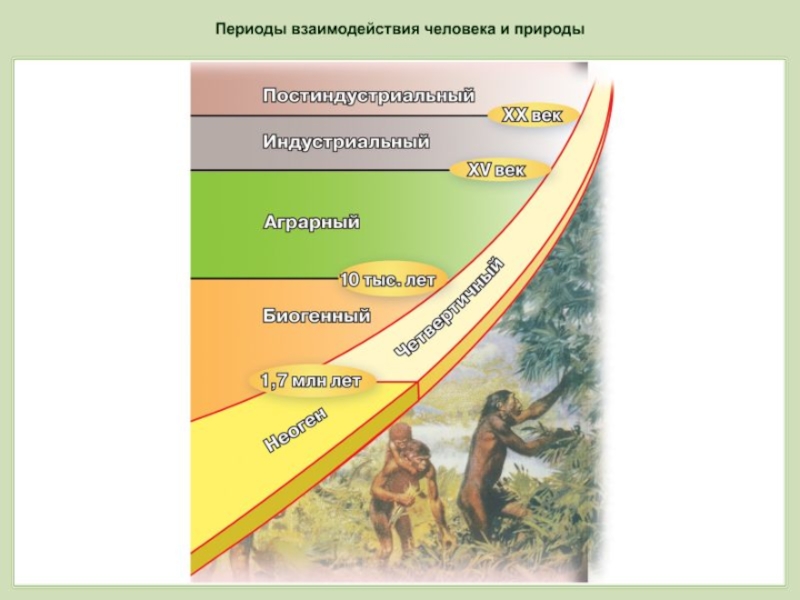 География 7 класс взаимодействие природы и общества презентация 7 класс