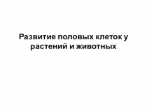 Презентация Развитие половых клеток у растений и животных