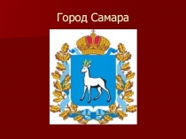 Презентация по познавательному развитию на тему Животный и растительный мир Севера