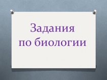 Презентация по биологии на тему Скелет 8 класс