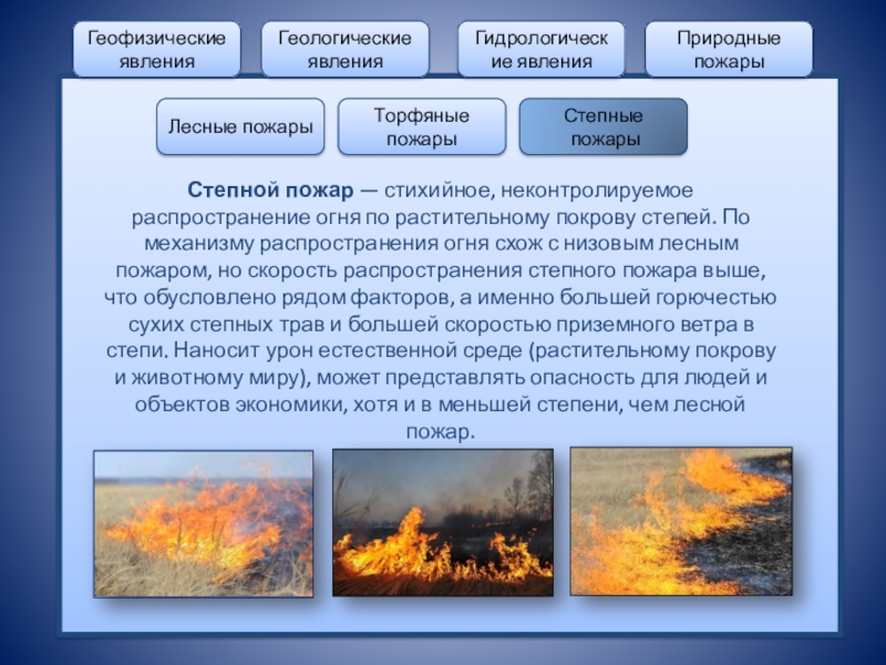 Лесной пожар относится к биологически опасным явлениям. Лесные пожары торфяные пожары степные пожары. Лесные и торфяные пожары. Природные пожары степные. Природные пожары ЧС примеры.